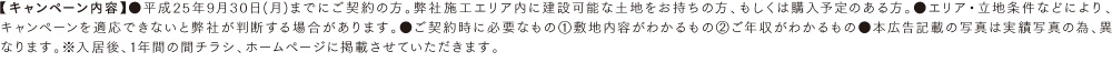 キャンペーン内容	
